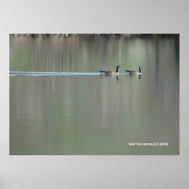 Pôster Natação do Amor (Frente)