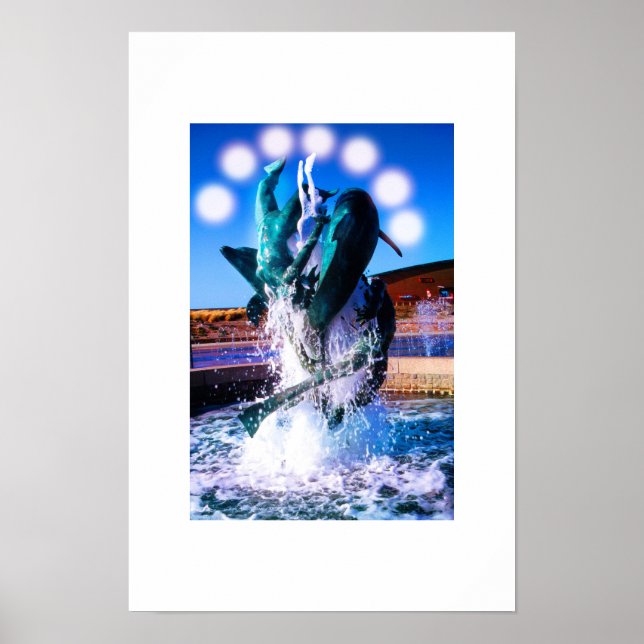 Pôster Natações com fonte de golfinhos (Frente)