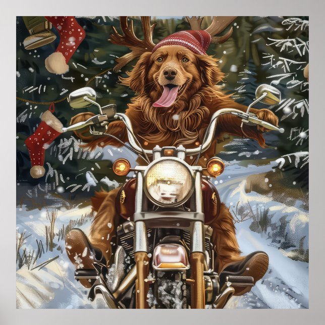 Poster Natais de Motocicleta com Cão da Nova Escócia (Frente)