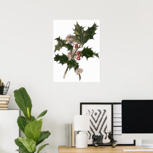 Poster Natal Antigo, Planta de Azevinho com Bagas Vermelh