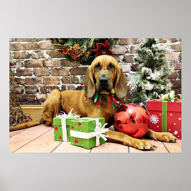 Pôster Natal - Bloodhound - Penney (Frente)