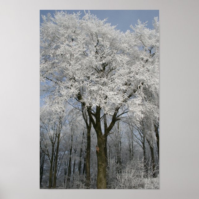 Pôster Natal branco (Frente)