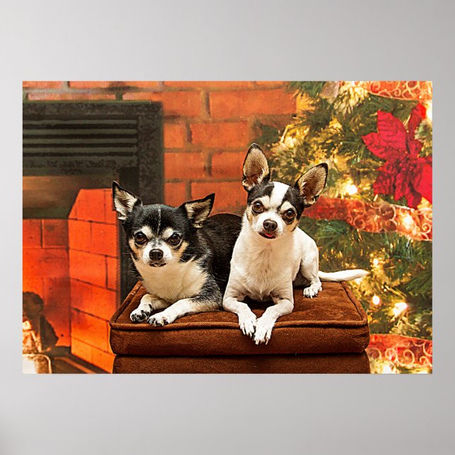 Poster Natal Chihuahua (Frente)