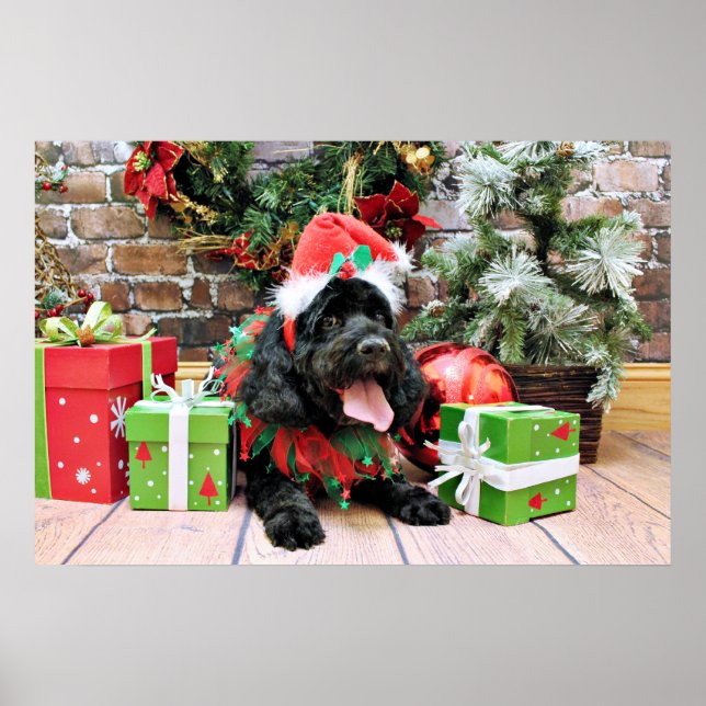 Pôster Natal - Cockapoo - Jack (Frente)