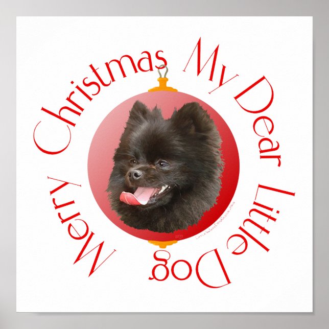 Pôster Natal da Pomerânia (Frente)