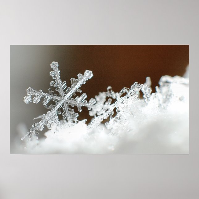 Pôster Natal de 2009 (Frente)