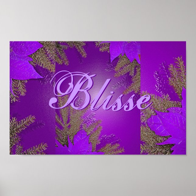 Poster Natal Poinsettia Purple Blisse II (Frente)