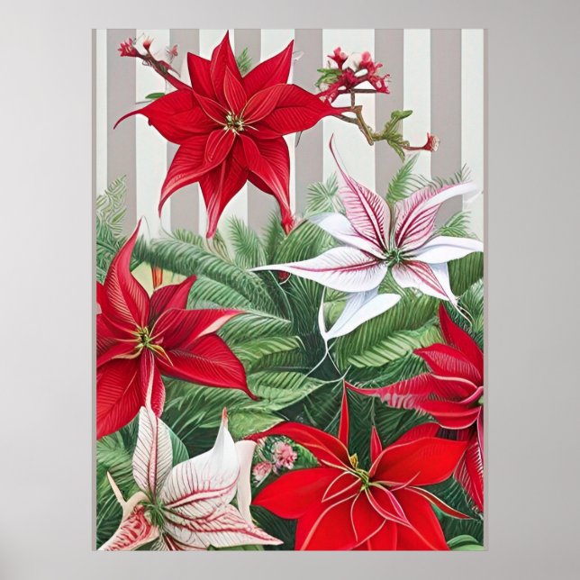 Poster Natal Red Amaryllis e Poinsettias (Frente)