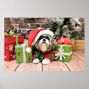 Pôster Natal - Shih Tzu - Vince