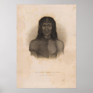 Pôster Nativo, Terra del Fuego, Argentina e Chile