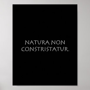 Poster Natura não constristatur