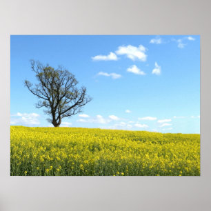 Poster natural