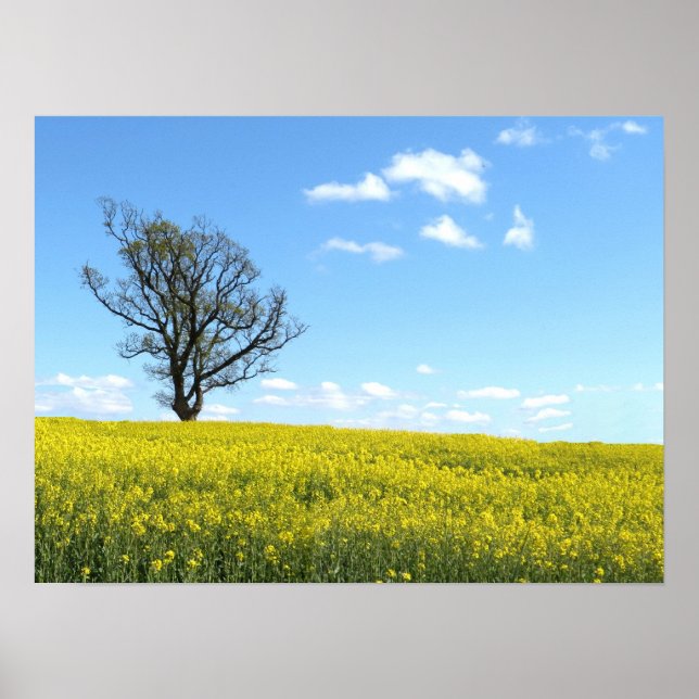 Poster natural (Frente)