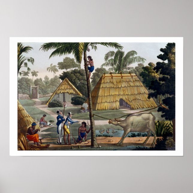 Pôster Naturalistas questionam nativos próximos de Kupang (Frente)