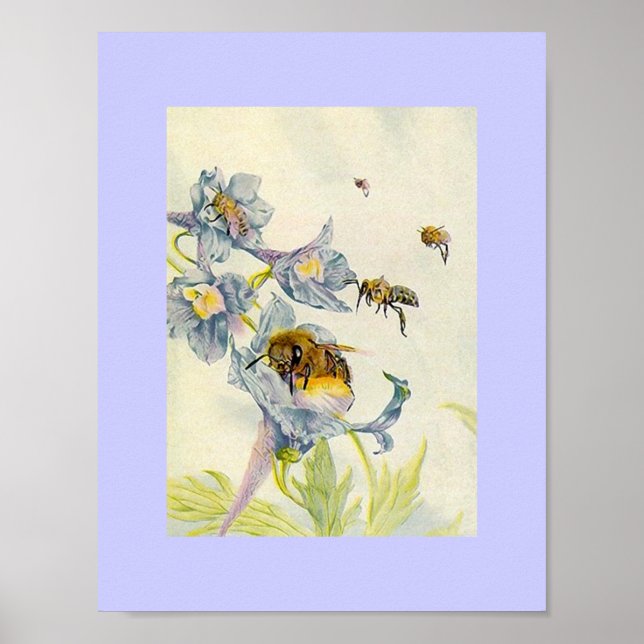 Poster Nature Honey Beers and Morning Glory Flowers Lilac (Frente)