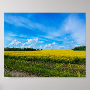 Poster Nature Landscape Canola Field Rural Belarus