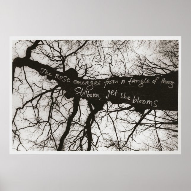 Poster Nature Whispers (Frente)