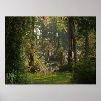 Poster Natures Beauty