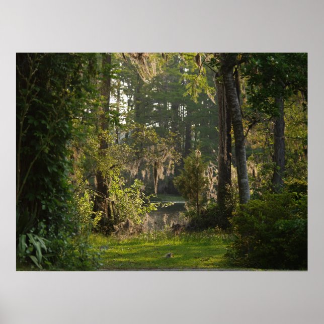 Poster Natures Beauty (Frente)