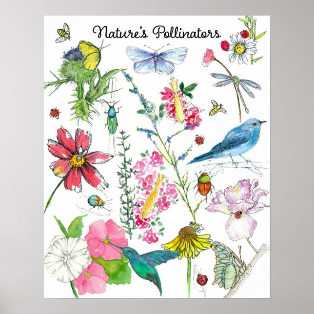 Poster Natures Pollinators Honeybeds Insetos Flores (Frente)