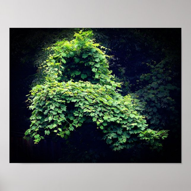 Poster Nature's Throne Wild Leafy Vines  (Frente)