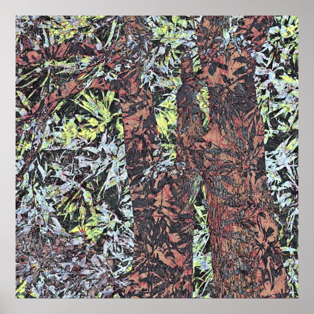 Poster Natureza (Frente)