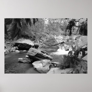 Pôster Natureza a preto e branco