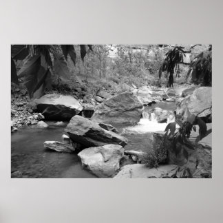 Pôster Natureza a preto e branco