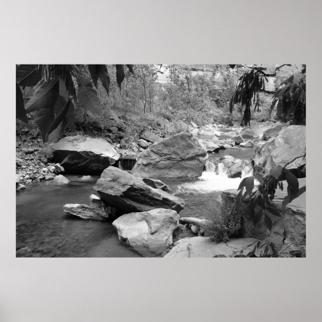 Pôster Natureza a preto e branco (Frente)