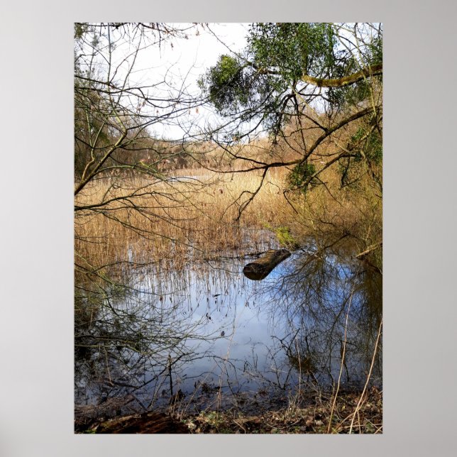 Poster Natureza das zonas rurais (Frente)