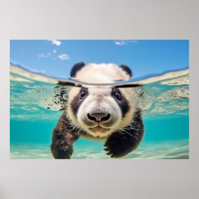 Poster Natureza De Brincadeira Animal Da Panda (Frente)