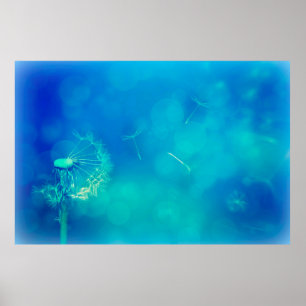 Poster Natureza de dandelion de fundo de textura