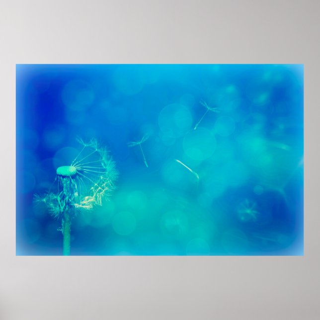 Poster Natureza de dandelion de fundo de textura (Frente)