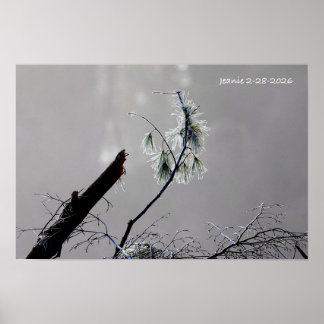 Poster Natureza de inverno