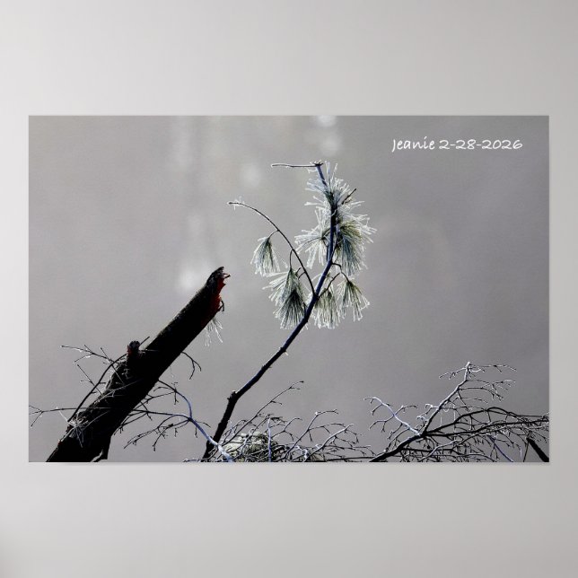 Poster Natureza de inverno (Frente)