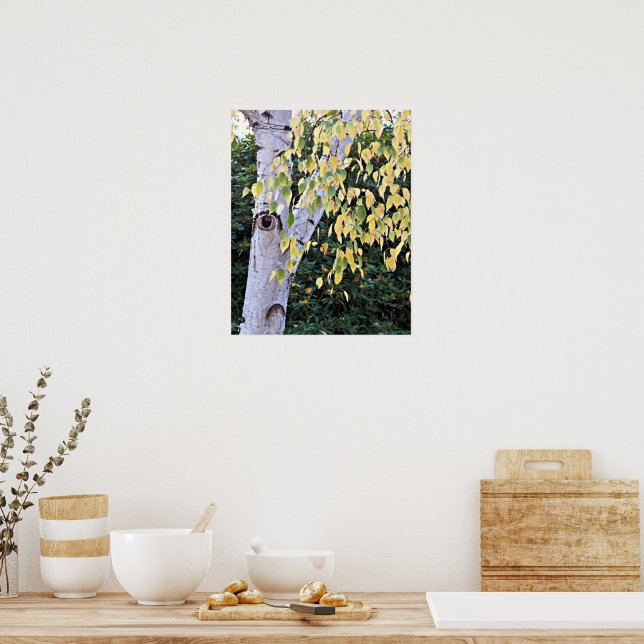 Poster Natureza do rosto da árvore de aves (Cozinha)