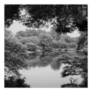 Pôster Natureza e lago preto e branco, legal, originais