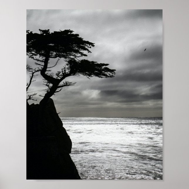 Poster Natureza Fotografia preto e branco (Frente)