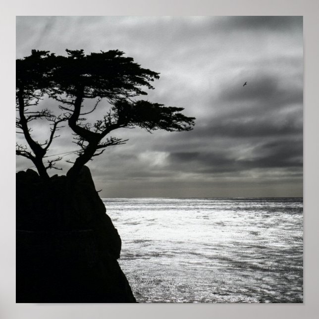 Poster Natureza Fotografia preto e branco (Frente)