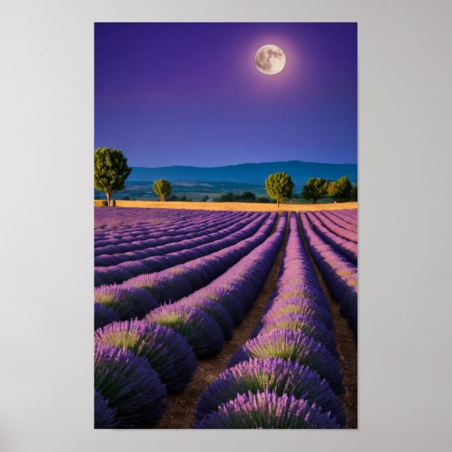 Poster Natureza lavanda no exterior Paisagem pacífica (Frente)