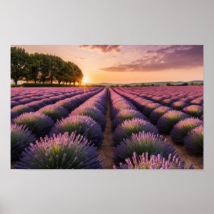 Poster Natureza lavanda no exterior Paisagem pacífica