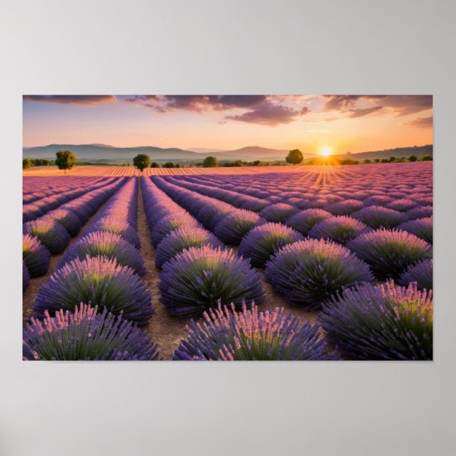 Poster Natureza lavanda no exterior Paisagem pacífica (Frente)