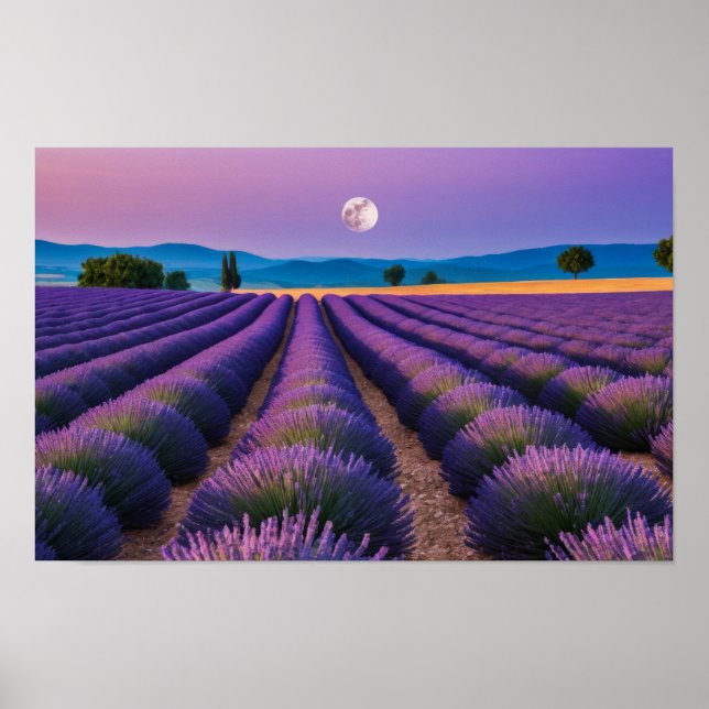 Poster Natureza lavanda no exterior Paisagem pacífica (Frente)