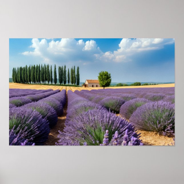 Poster Natureza lavanda no exterior Paisagem pacífica (Frente)