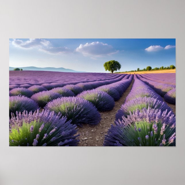 Poster Natureza lavanda no exterior Paisagem pacífica (Frente)
