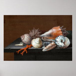 Poster Natureza Morta com Conchas Johann Jakob Dietzsch