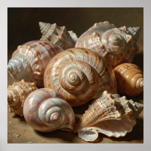 Poster Natureza-Morta Iridescente de Conchas do Mar