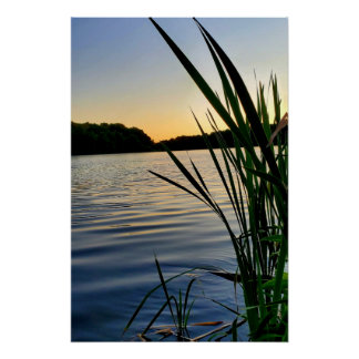 Pôster Natureza no seu melhor