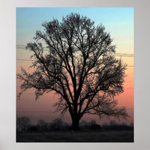 Poster Natureza ou Nurtura?