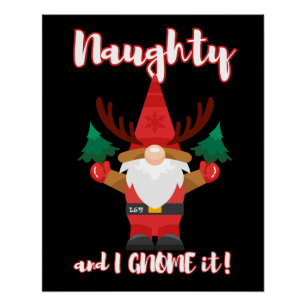 Pôster NAUGHTY E EU SABEMOS QUE FOI engraçado.